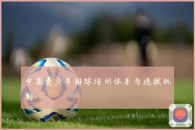 中国青少年排球培训体系与选拔机制
